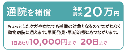 通院を補償 年間最大20万円