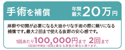 手術を補償 年間最大20万円