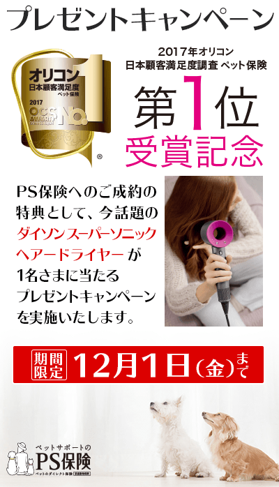 17年 11月 プレゼントキャンペーンのお知らせ お知らせ ペット保険の Ps保険 少額短期保険ペットメディカルサポート株式会社