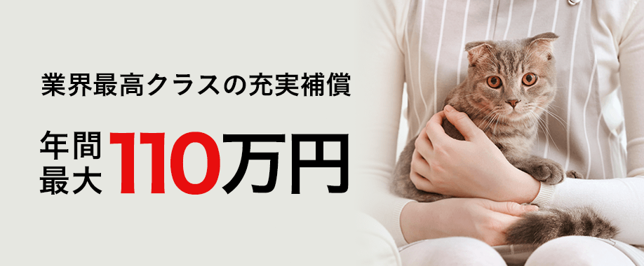 業界最高クラスの充実補償 年間最大110万円
