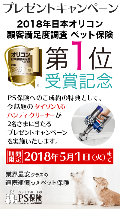 プレゼントキャンペーン4月｜イベント・キャンペーン｜ペット保険の 