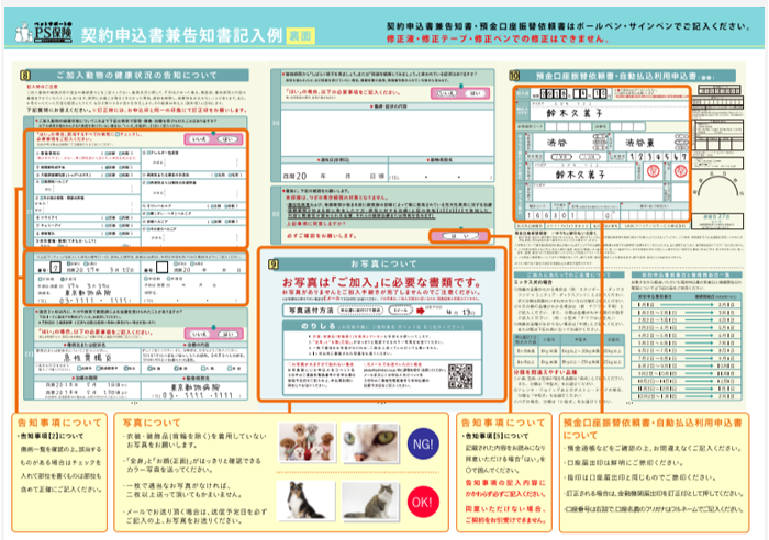 paper-ex.png
