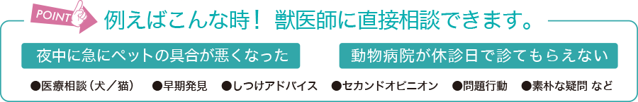 例えばこんな時!獣医師に直接相談できます。