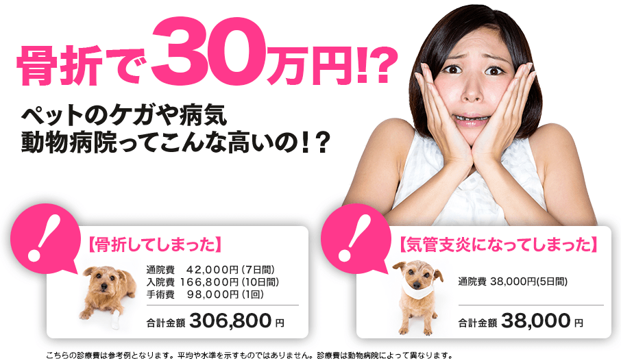 骨折で30万円!?ペットのケガや病気、動物病院ってこんなに高いの!?