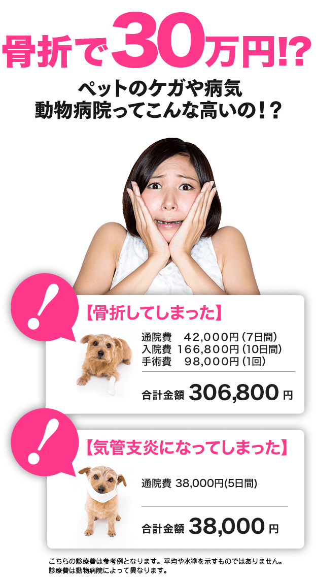 徴収 メタリック 余計な 犬 脱臼 手術 費用 Tobiume F Jp