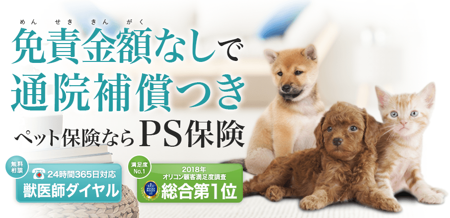免責金額なしで通院補償つきペット保険ならPS保険