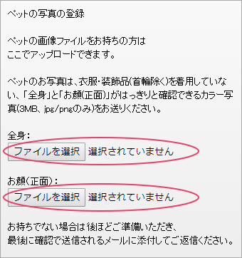 スマホの写真アップロード画面