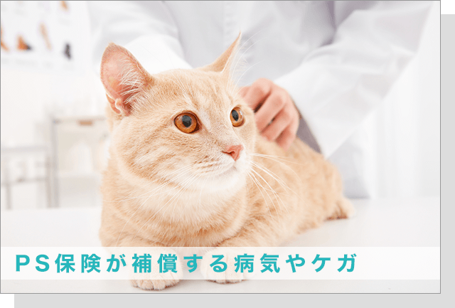 PS保険が補償するケガや病気
