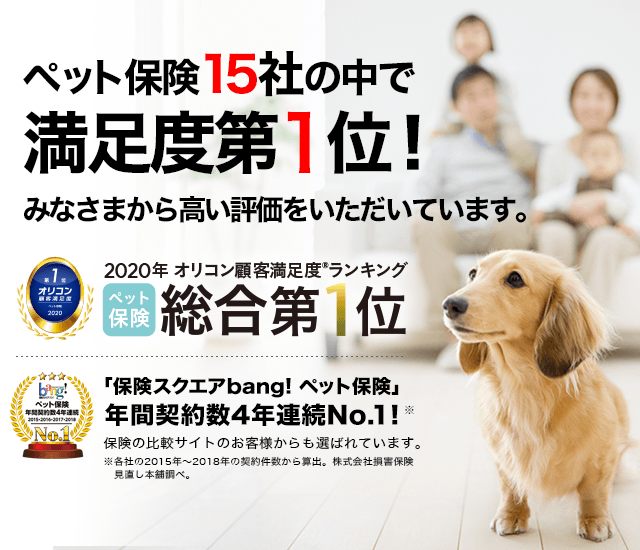 ペット保険13社の中で満足度第1位!みなさまから高い評価をいただいています。