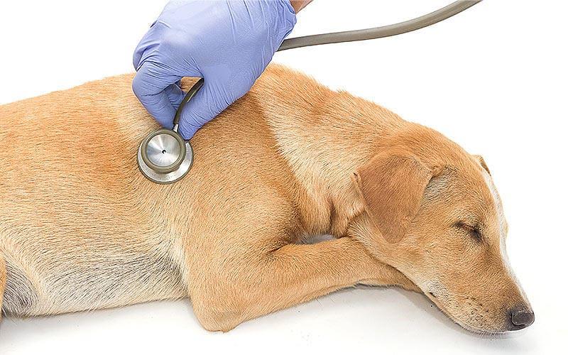 2. 過度の喉の渇き