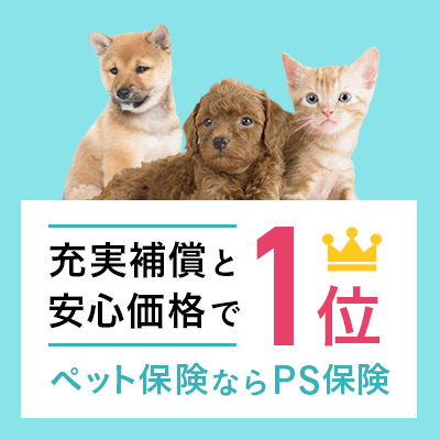 ペット保険ならps保険 業界最安クラスで6年連続第1位