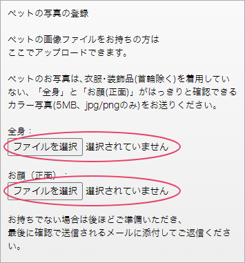 スマホの写真アップロード画面