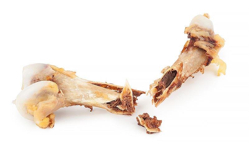 犬が鳥の骨を食べると引き起こされるリスク