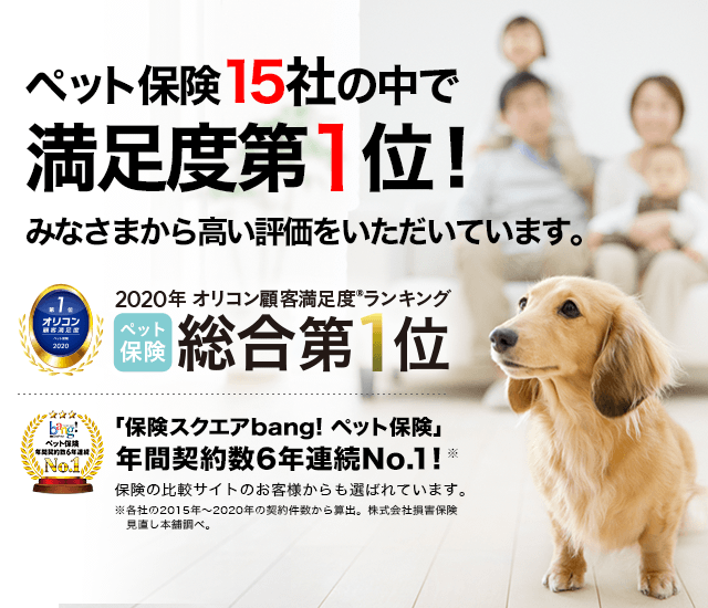 ペット保険13社の中で満足度第1位!みなさまから高い評価をいただいています。