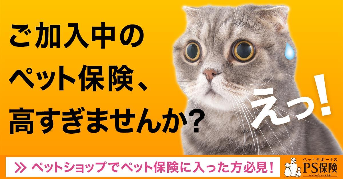 猫の疾患  ペット保険の「PS保険」少額短期保険ペットメディカル 