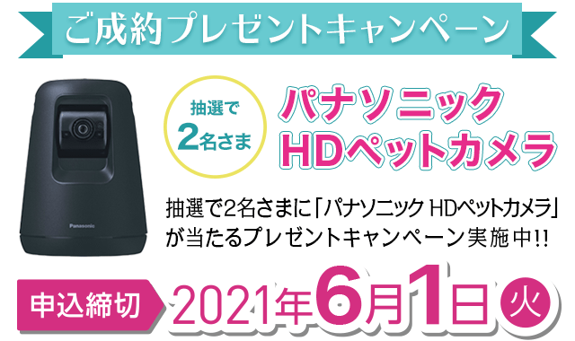 202年 オリコン顧客満足度® ランキング ペット保険 第1位受賞記念 プレゼントキャンペーン実施中!