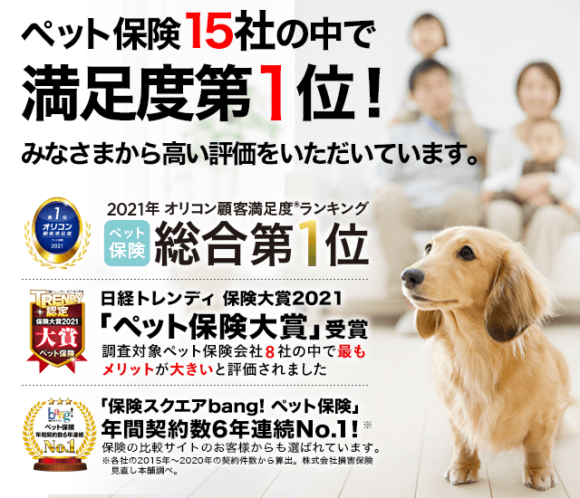 ペット保険13社の中で満足度第1位!みなさまから高い評価をいただいています。