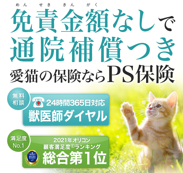 猫の保険について  ペット保険の「PS保険」少額短期保険ペット 