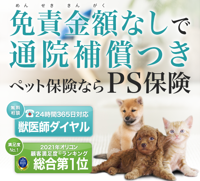 犬の保険について  ペット保険の「PS保険」少額短期保険ペット 