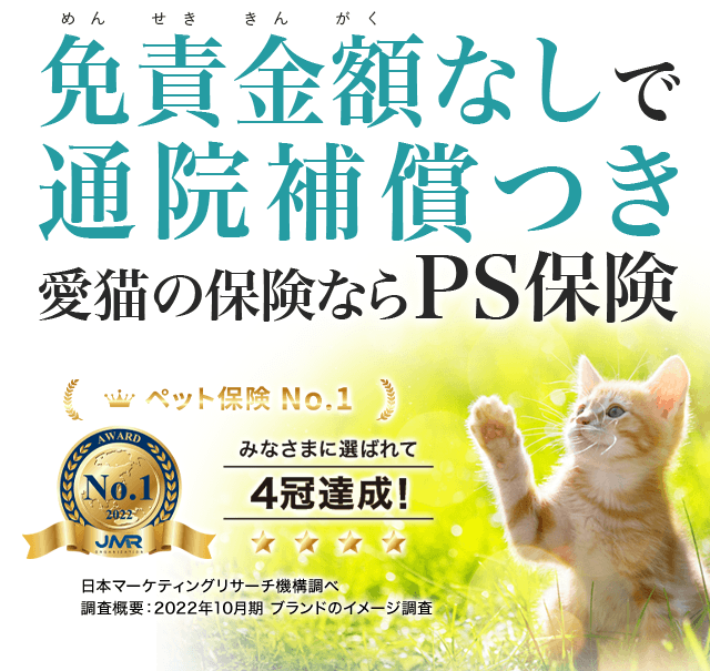 猫の保険について ペット保険の Ps保険 少額短期保険ペットメディカルサポート株式会社