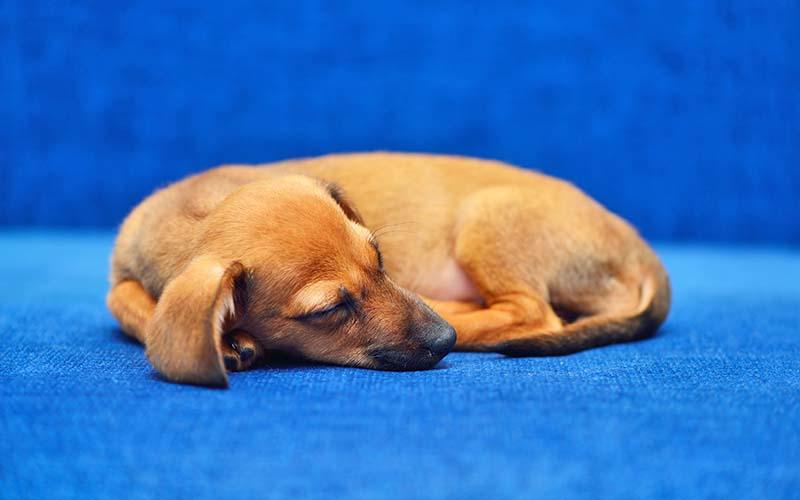 水腫はどのようなものですか?