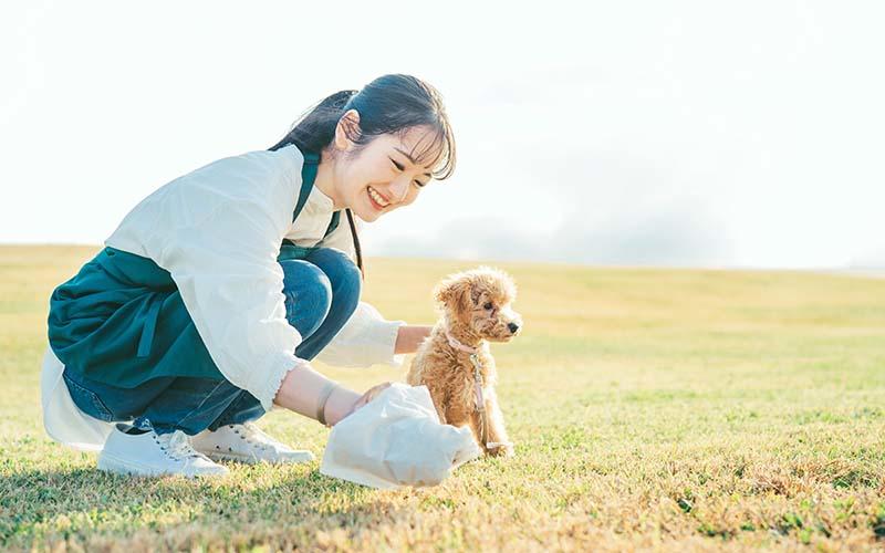 他のタイプの不規則な心拍