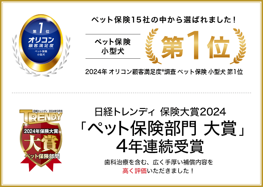 ランキング入賞・受賞多数！