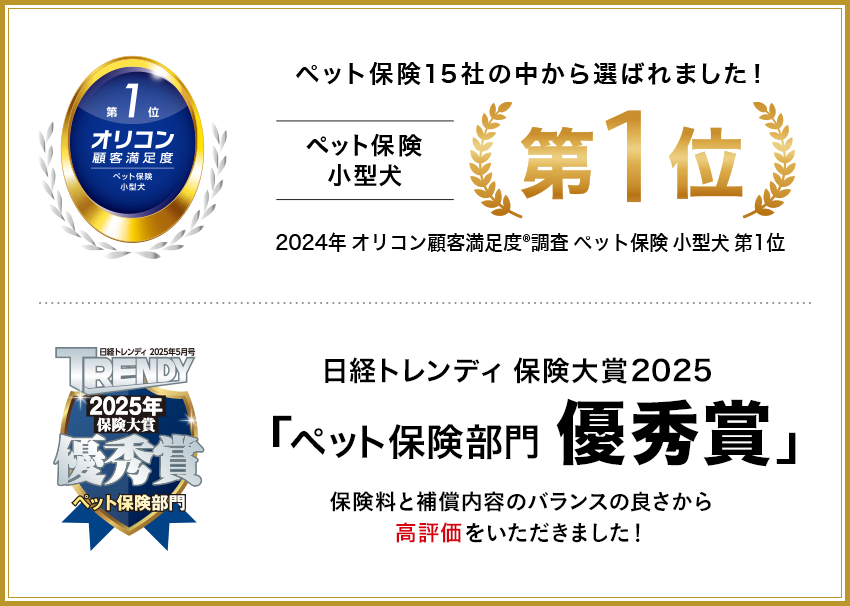ランキング入賞・受賞多数！