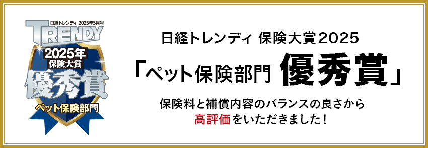 ランキング入賞・受賞多数!