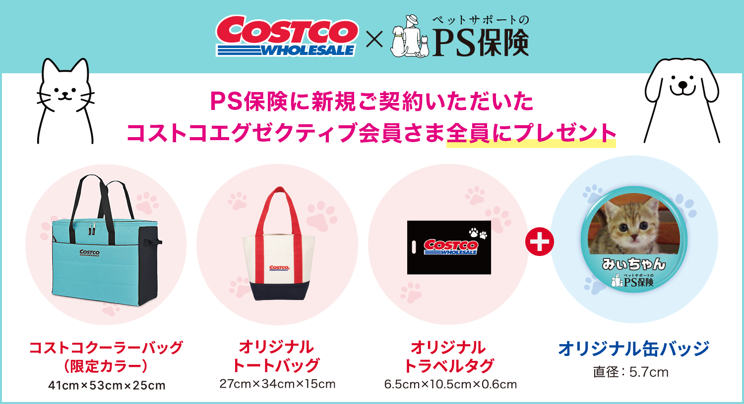 costco×PS保険 PS保険に新規ご契約いただいたコストコエグゼクティブ会員さま全員にプレゼント