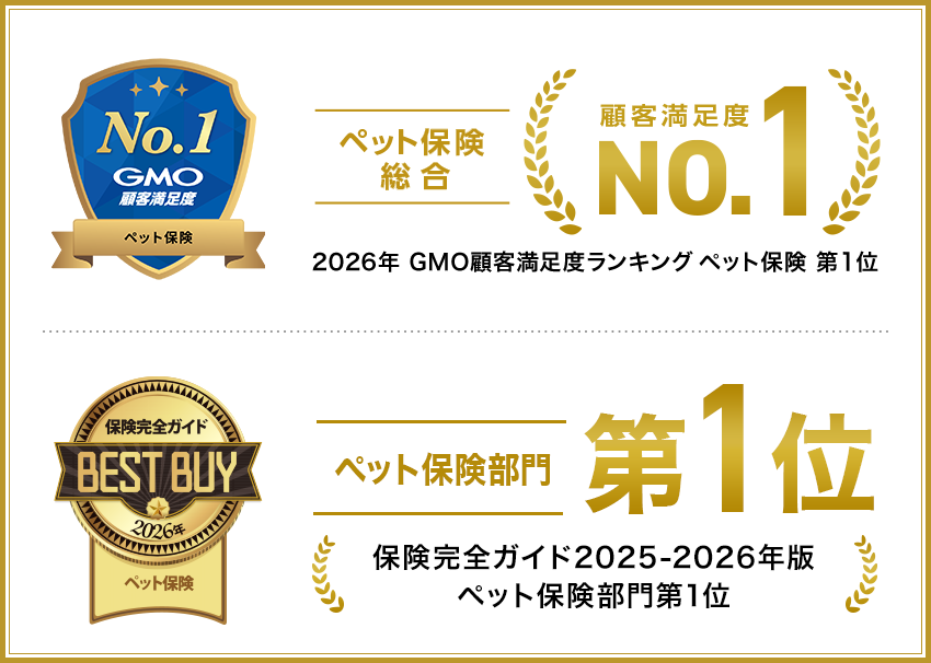 ランキング入賞・受賞多数！