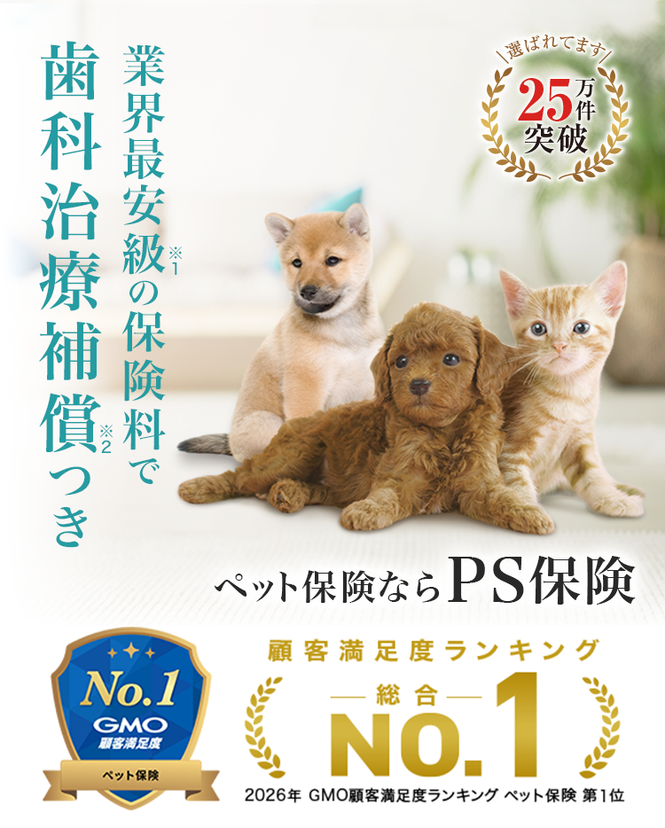 業界最安級の保険料で歯科治療つき ペット保険ならPS保険