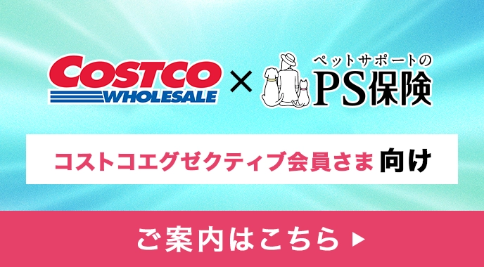 PS保険の代理店がコストコホールセールジャパンと業務提携※コストコ会員様限定