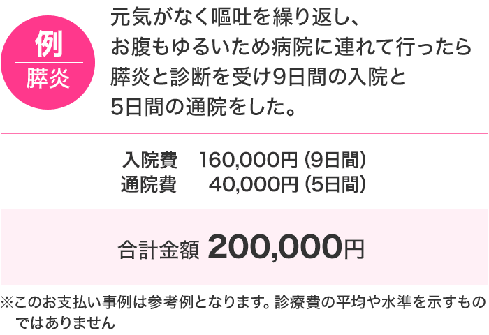 例：膵炎 元気がなく嘔吐を繰り返し、お腹もゆるいため病院に連れて行ったら膵炎と診断を受け9日間の入院と5日間の通院をした。通院費・入院費合計200,000円