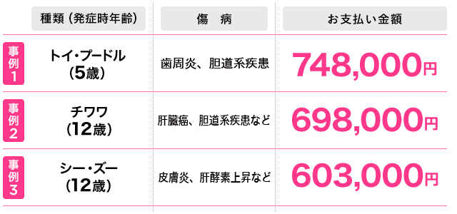 2022年4月1日~2023年3月31日までの犬の保険金お支払い事例