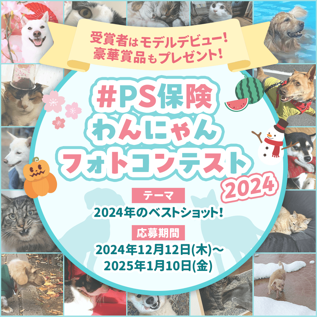 #PS保険わんにゃんフォトコンテスト2024