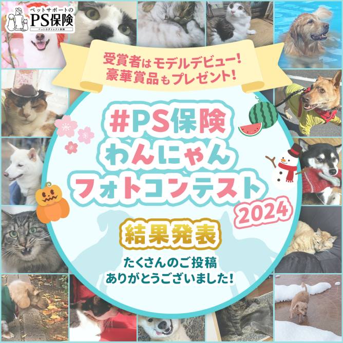 #PS保険わんにゃんフォトコンテスト2024結果発表