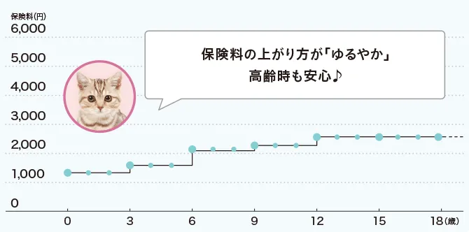 保険料の上がり方が「ゆるやか」高齢時も安心