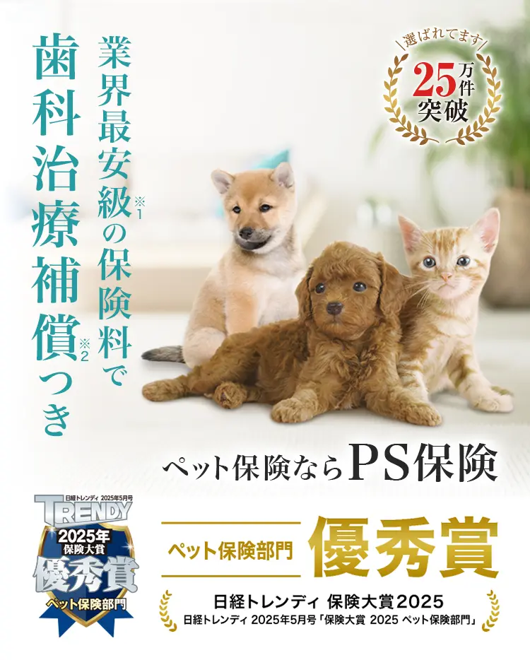 業界最安級の保険料で歯科治療つき ペット保険ならPS保険
